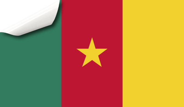 flagge kamerun vorschau 1
